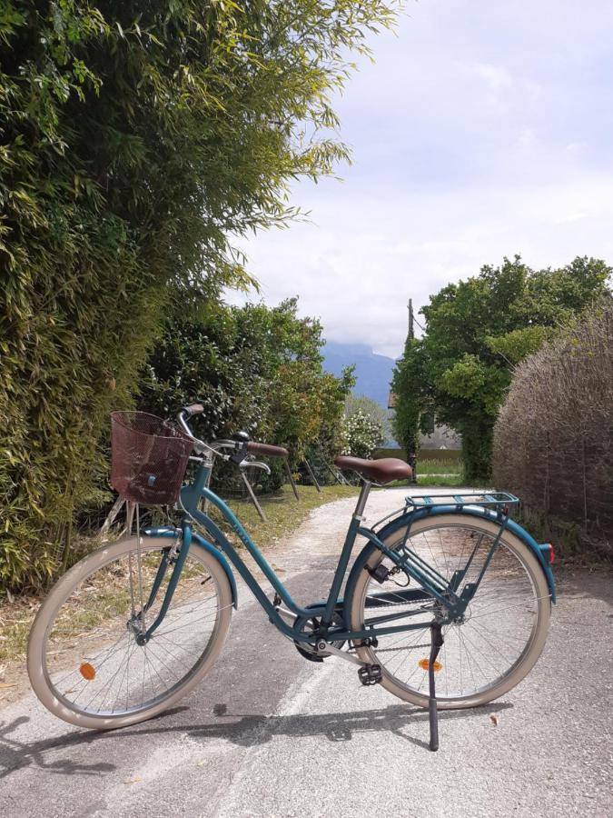 Maison Proche Lac, Velos, Parking *